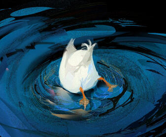 Duck in water, HEAVYPAINT study