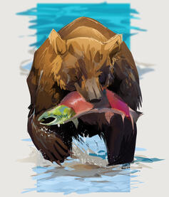 Bear with salmon, study