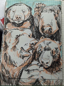 Bear sketches, Highlighter &amp; Brush